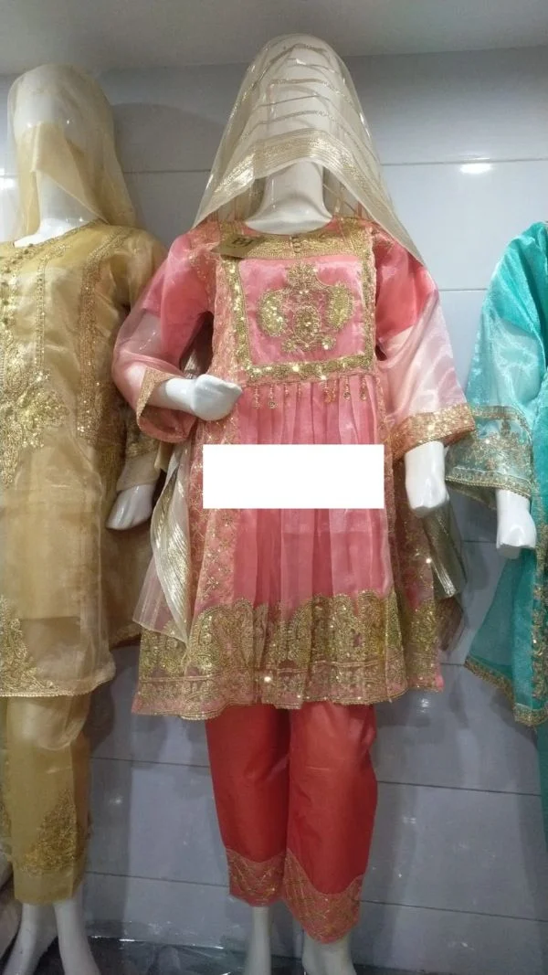 Neck Design 4567 - Salwar Suit Neck Line