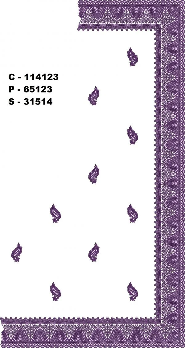 Saree Design 2047 - Unique Border C Pallu Skirt Saree