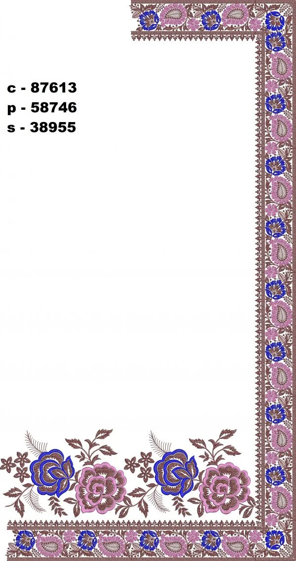 Saree Design 2334 - Beautiful Border C Pallu Skirt Saree
