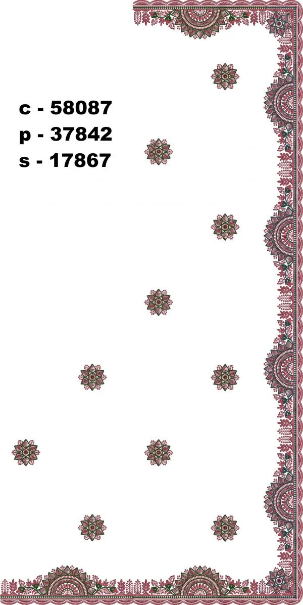 Saree Design 5219 - Unique Border C Pallu Skirt Saree