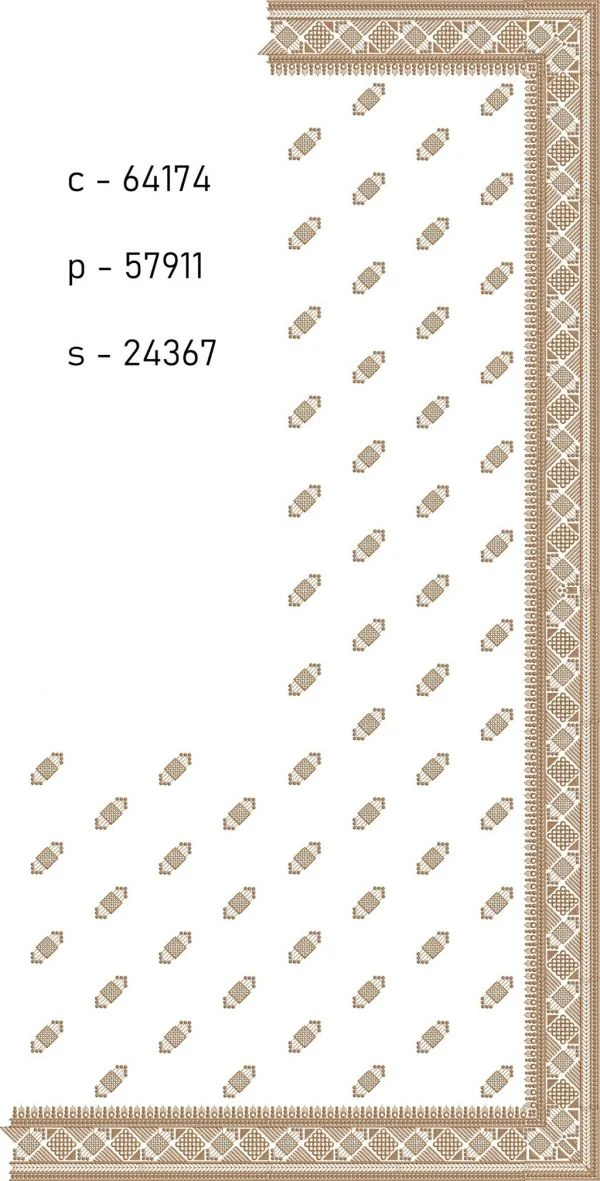 Saree Design 5663 - Unique Border C Pallu Skirt Saree